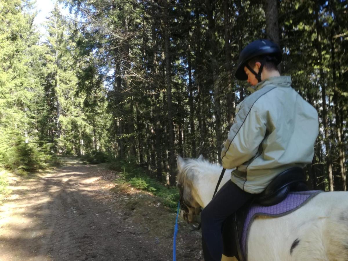 Gasthof Zum Kramer Gurk Buitenkant foto